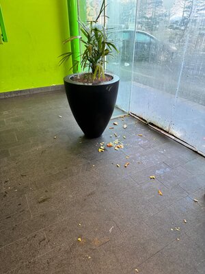 Afbeelding van whatsapp op 2025 05 04 om 22.57.01 74c5c7bd